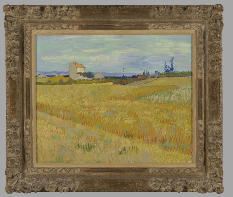 Vincent van Gogh, Wheat Field, 1888, On loan from the P. and N. de Boer Foundation, 2024.