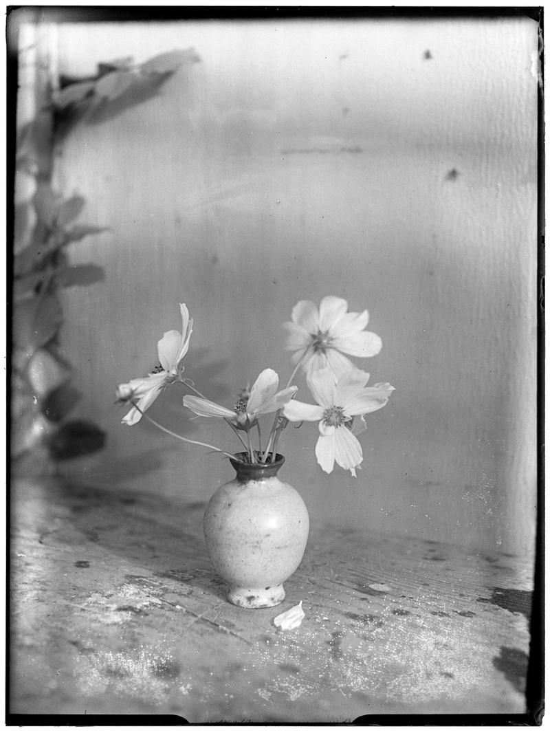 Anonym o.T. (Blumenvase)  nach historischen Glasnegativen auf Hahnemühle Photo Rag Smooth 308gr, 1920er- Jahre (printed 2024), 22,5 x 30 cm gerahmt 30 x 40 cm, Edition 10 Ex.  © Günter Karl Bose Archiv, Berlin