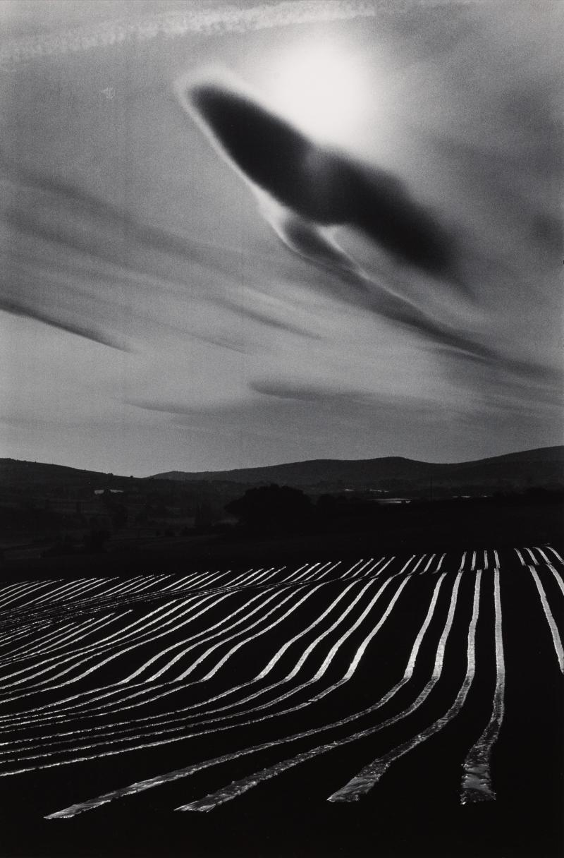 MARTINE FRANCK (1938–2012) Lubéron, Frankreich 1976 Silber-Gelatine Print 60,5 x 50,7 cm Schätzpreis: € 5.000 – 6.000