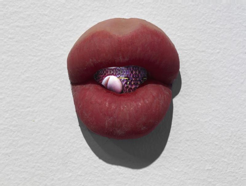 Mika Rottenberg Lips Study email neu